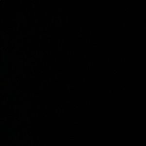 Meet your Posher, Dorian